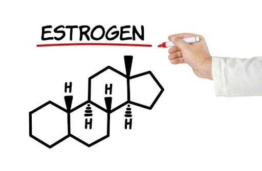 Estrogen là hormone quan trọng đối với phái đẹp